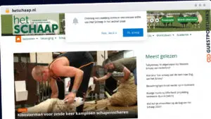 Publish Guest Post on hetschaap.nl