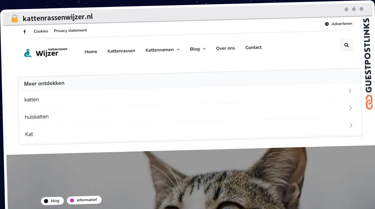 Publish Guest Post on kattenrassenwijzer.nl