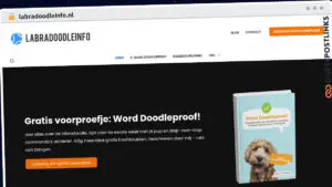 Publish Guest Post on labradoodleinfo.nl