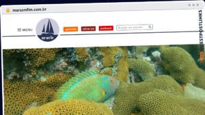Publish Guest Post on marsemfim.com.br