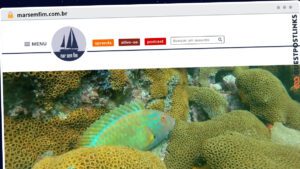 Publish Guest Post on marsemfim.com.br