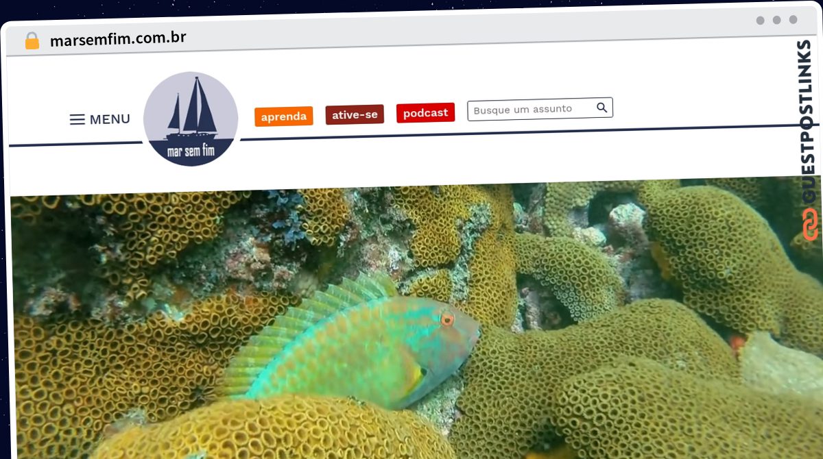 Publish Guest Post on marsemfim.com.br
