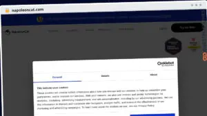 Publish Guest Post on napoleoncat.com