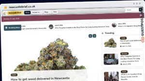 Publish Guest Post on newcastlebrief.co.uk