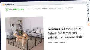 Publish Guest Post on oviolaru.ro