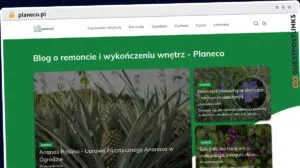Publish Guest Post on planeco.pl
