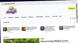 Publish Guest Post on punwaves.com