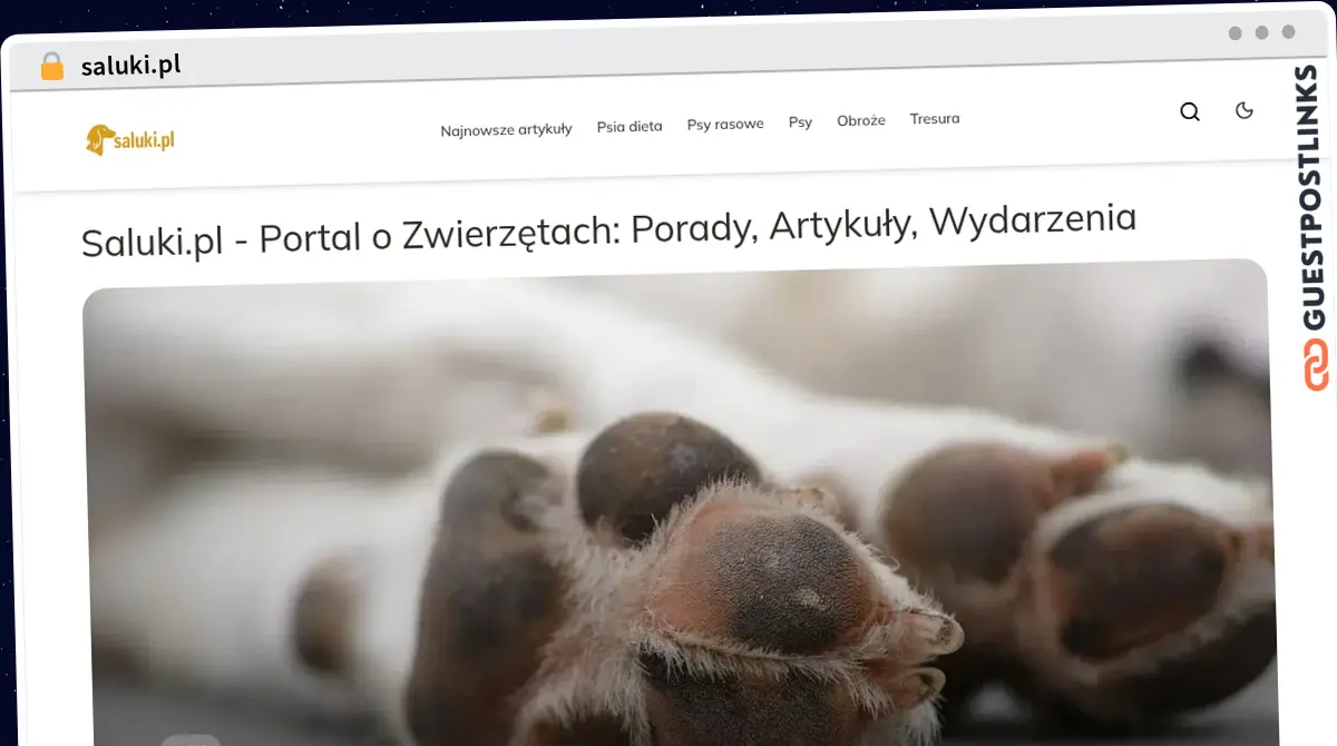 Publish Guest Post on saluki.pl