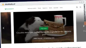 Publish Guest Post on sforahusky.pl