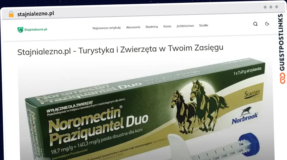 Publish Guest Post on stajnialezno.pl