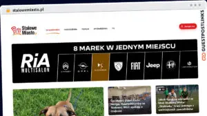 Publish Guest Post on stalowemiasto.pl
