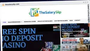 Publish Guest Post on thesalaryslip.com
