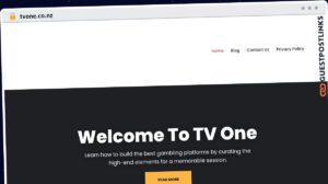 Publish Guest Post on tvone.co.nz