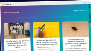 Publish Guest Post on visec.ro