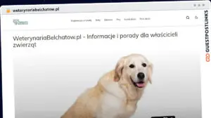 Publish Guest Post on weterynariabelchatow.pl