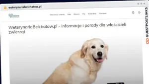 Publish Guest Post on weterynariabelchatow.pl