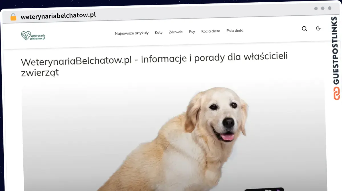 Publish Guest Post on weterynariabelchatow.pl