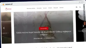 Publish Guest Post on zezoon.pl