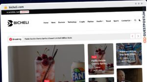 Publish Guest Post on bicheli.com
