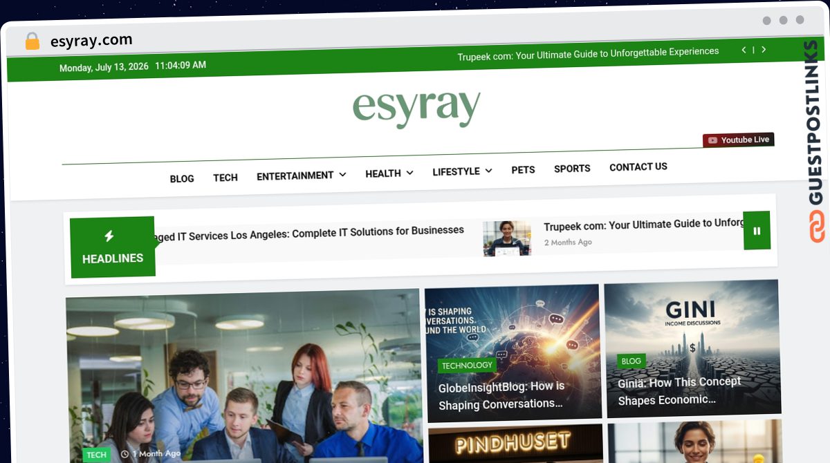 Publish Guest Post on esyray.com