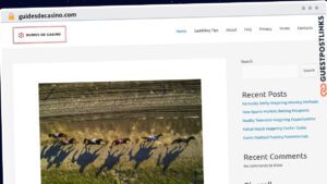 Publish Guest Post on guidesdecasino.com