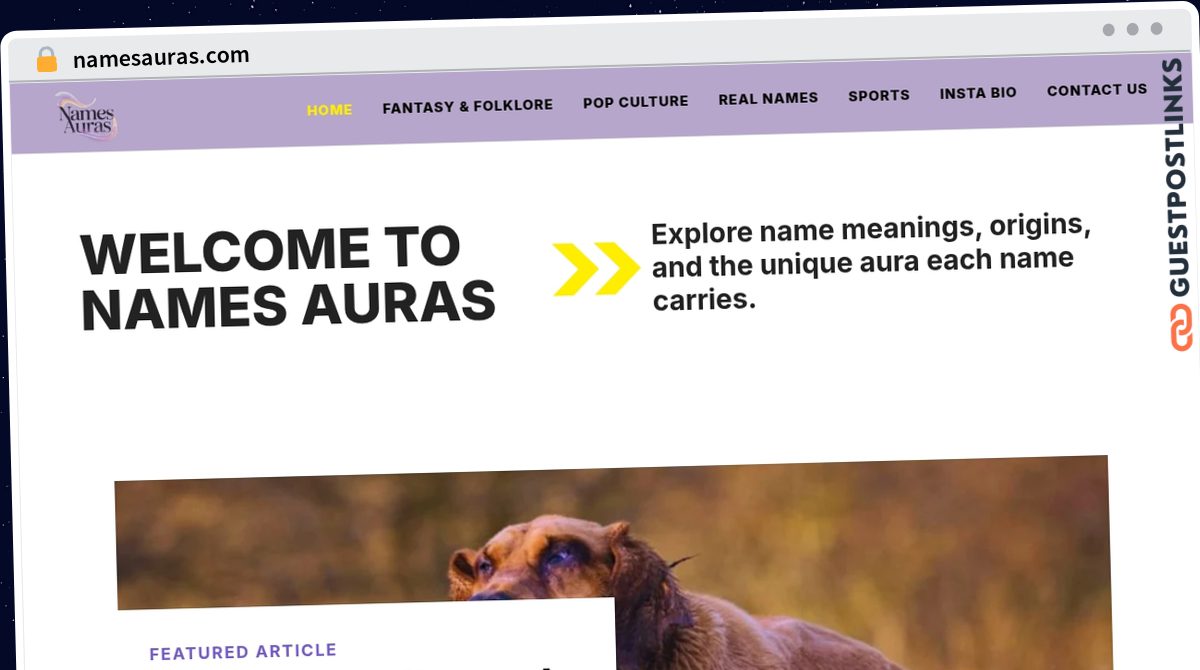 Publish Guest Post on namesauras.com