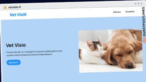 Publish Guest Post on vetvisio.fr