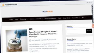 Publish Guest Post on wapbald.com