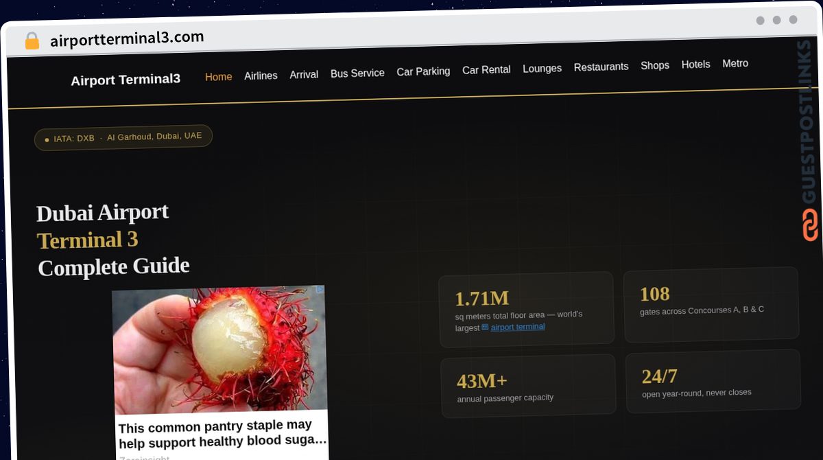Publish Guest Post on airportterminal3.com
