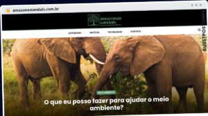 Publish Guest Post on amazonassandals.com.br