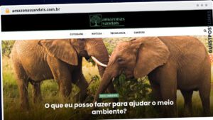 Publish Guest Post on amazonassandals.com.br