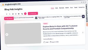 Publish Guest Post on bloghubinsights.link