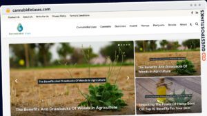 Publish Guest Post on cannabidioluses.com