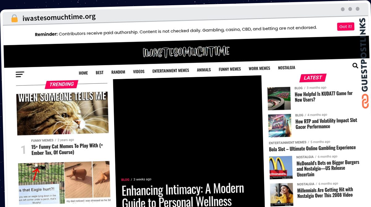 Publish Guest Post on iwastesomuchtime.org