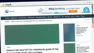 Publish Guest Post on kfsg.dk