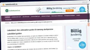 Publish Guest Post on loebebaand.nu