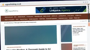 Publish Guest Post on ssgscaffolding.co.uk