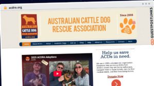 Publish Guest Post on acdra.org