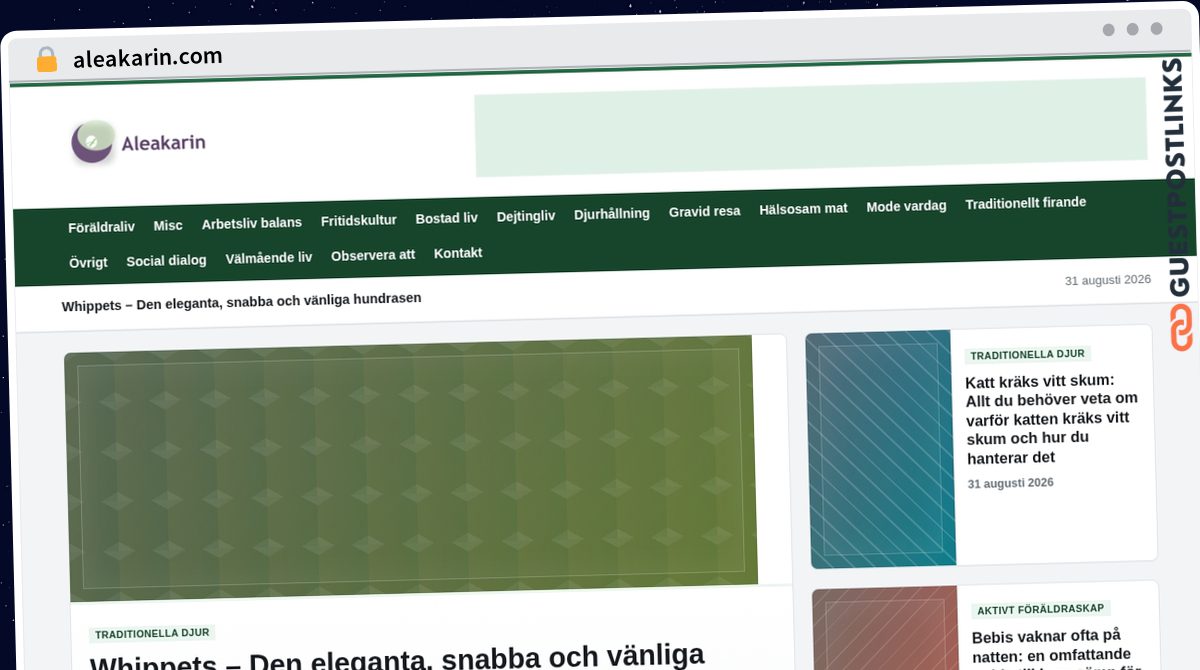 Publish Guest Post on aleakarin.com