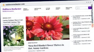 Publish Guest Post on baldnessrochester.com