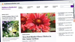 Publish Guest Post on baldnessrochester.com