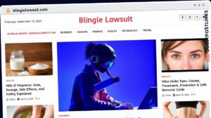 Publish Guest Post on blinglelawsuit.com