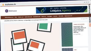 Publish Guest Post on bluframes.de