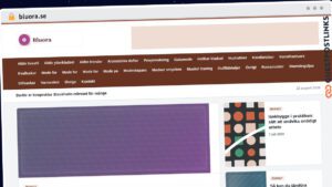 Publish Guest Post on bluora.se