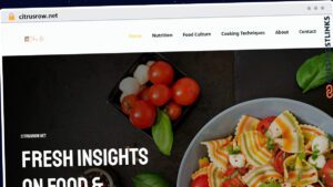 Publish Guest Post on citrusrow.net