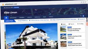 Publish Guest Post on elidelimon.com