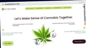 Publish Guest Post on funwithdizzies.com
