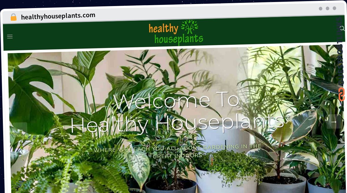 Publish Guest Post on healthyhouseplants.com