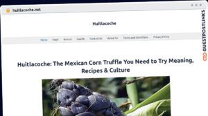 Publish Guest Post on huitlacoche.net