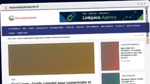 Publish Guest Post on maisondupalmipede.fr